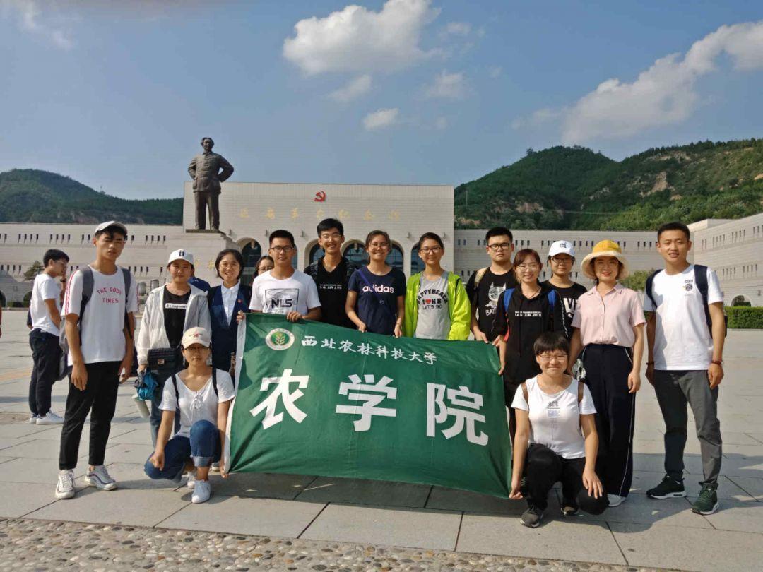 五彩猫碰碰碰